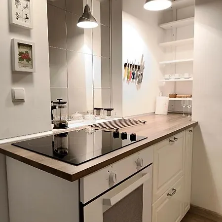 Apartment Newly Refurbished In The City Center *