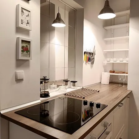 Newly Refurbished In The City Center Apartment *